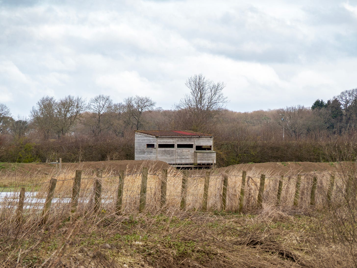 A wooden birdwatching hide surrounded by a fence, trees and brown winter vegetation.