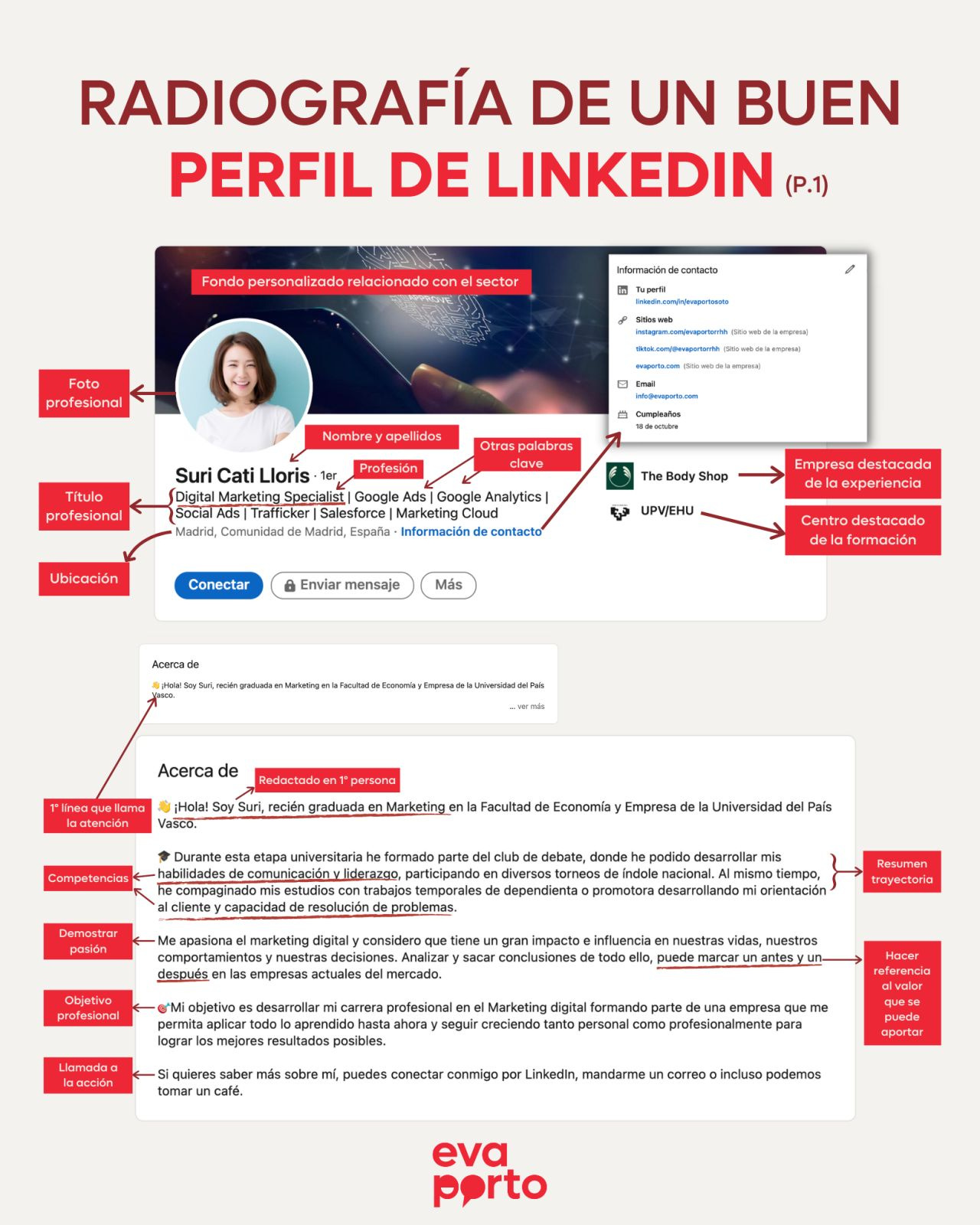 No hay descripción alternativa para esta imagen
