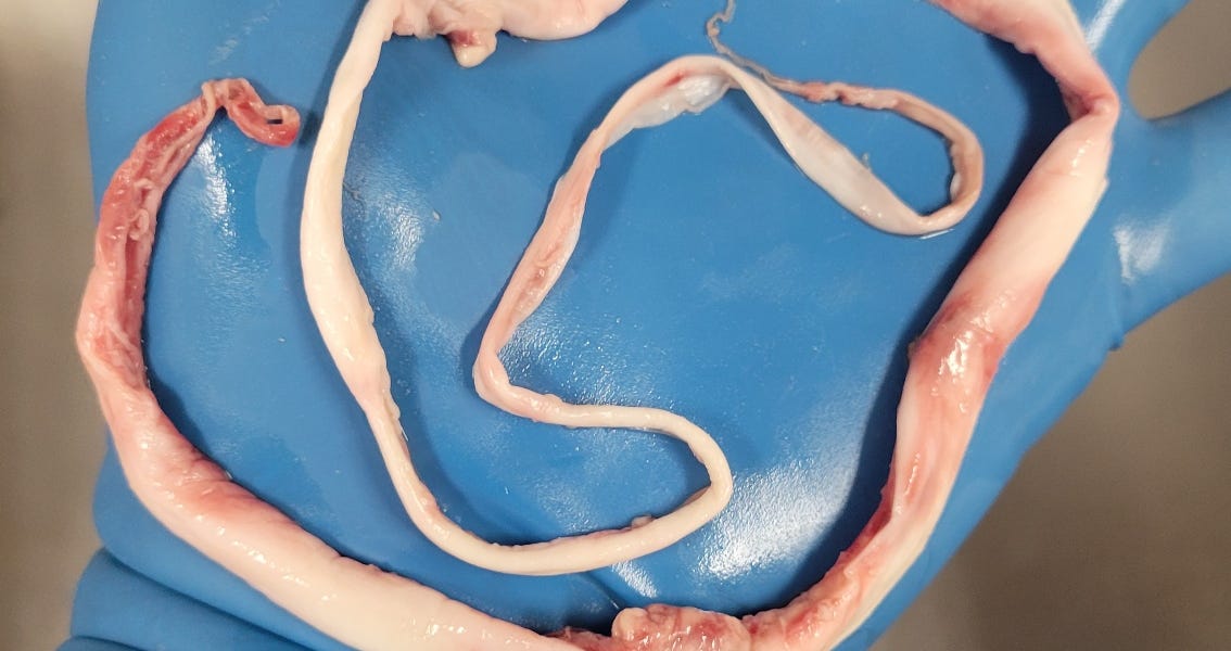 The Abyss Only Jesus Can Fill