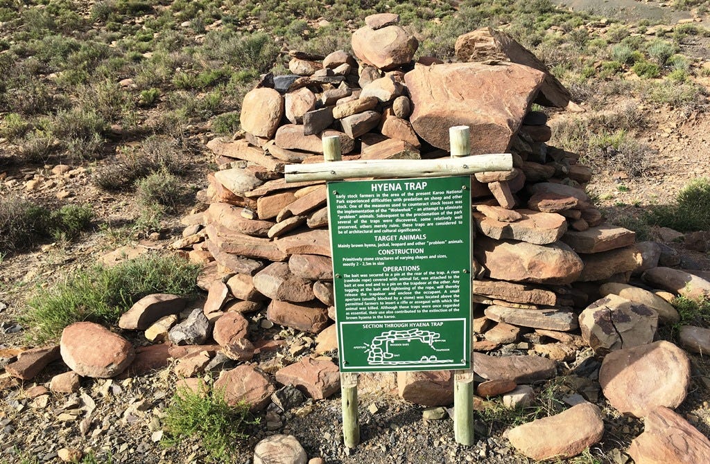 Hyena trap Hyena trap