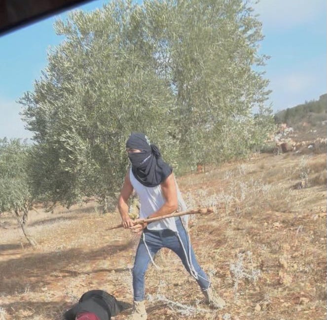 😡 (VIDEO) Israeli KKK Beats an Elder Palestinian Woman Unconscious as She Works Her Olive Grove