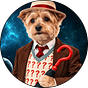 Dr. W𖣠𖣠fW𖣠𖣠f's avatar