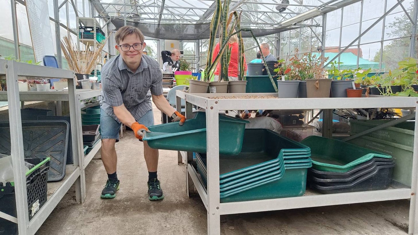 May be an image of cold frame and seedlings