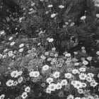 Chapter Index - With Most Gentle Wishes