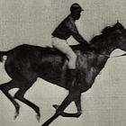 "What is Fiction?" : Brains in Vats & Invisible Horses | Existential Basics 2