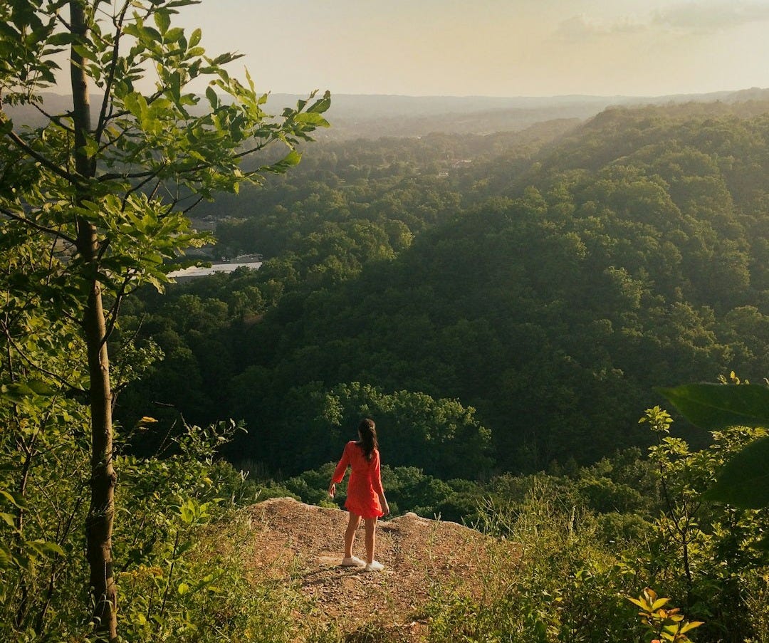 a woman standing on top of a lush green hillside