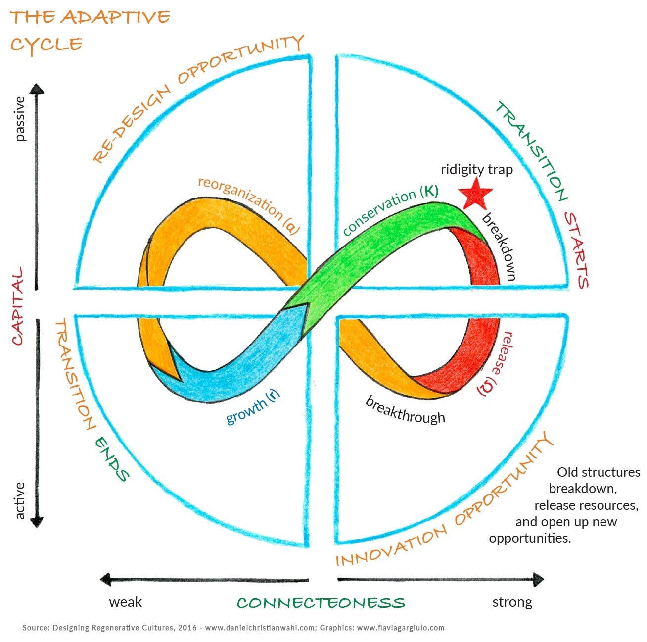 The adaptive cycle as a dynamic map for resilience thinking