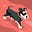 weBev Klayman's avatar