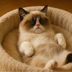 Deep Sleep: the command centre of human healing