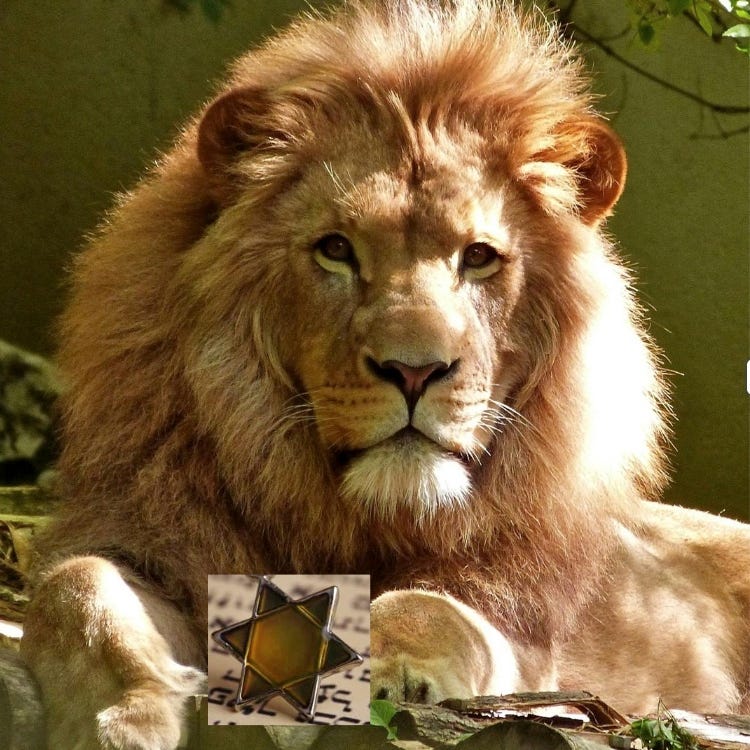 Jewish Fierce Compassion