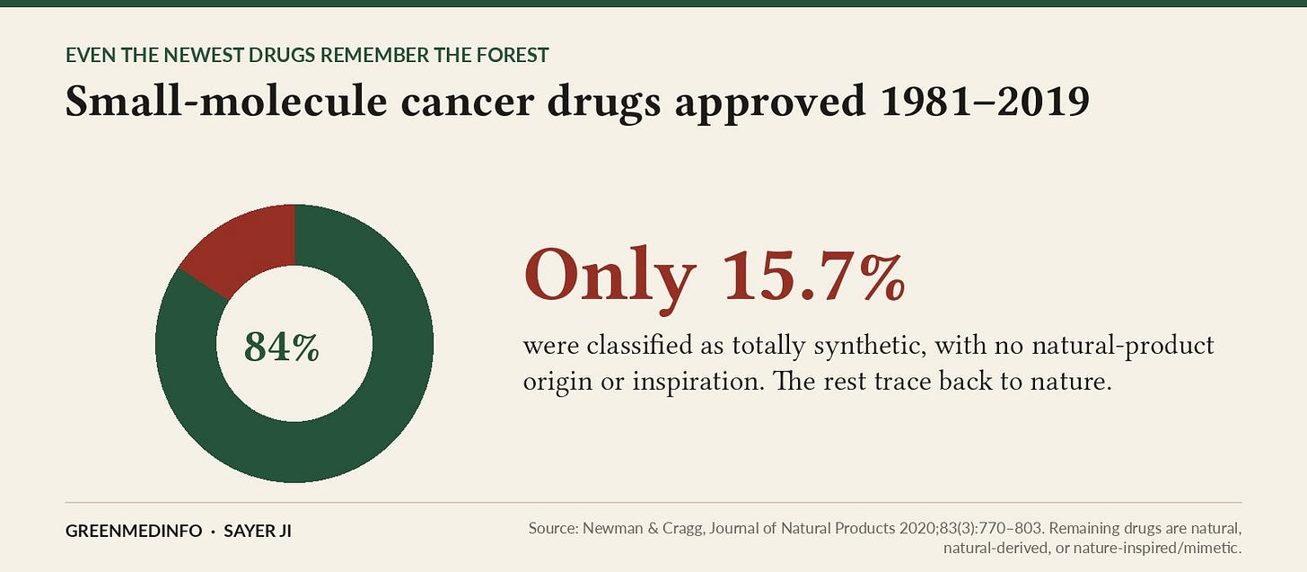 Only 15.7% of small-molecule cancer drugs approved 1981–2019 were totally synthetic, according to Newman & Cragg (2020).