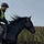 Andre' Equus