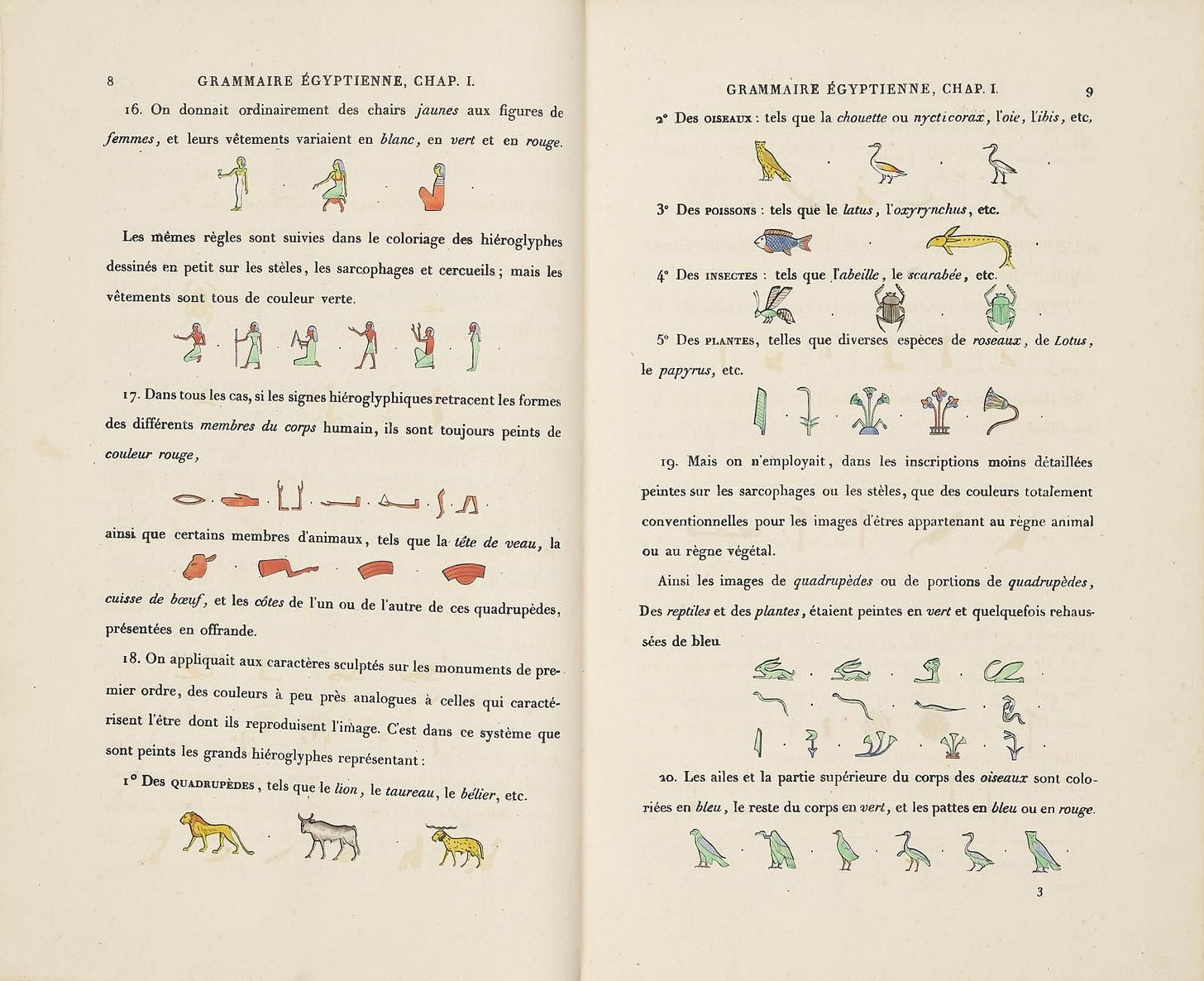 Inside a book with hieroglyph symbols and accompanying French text.