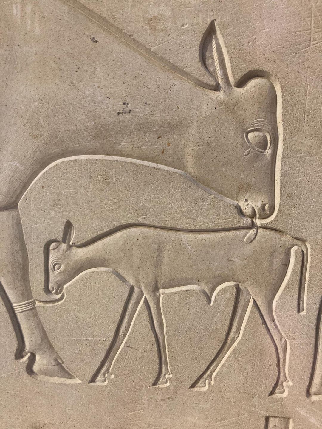 May be an image of text