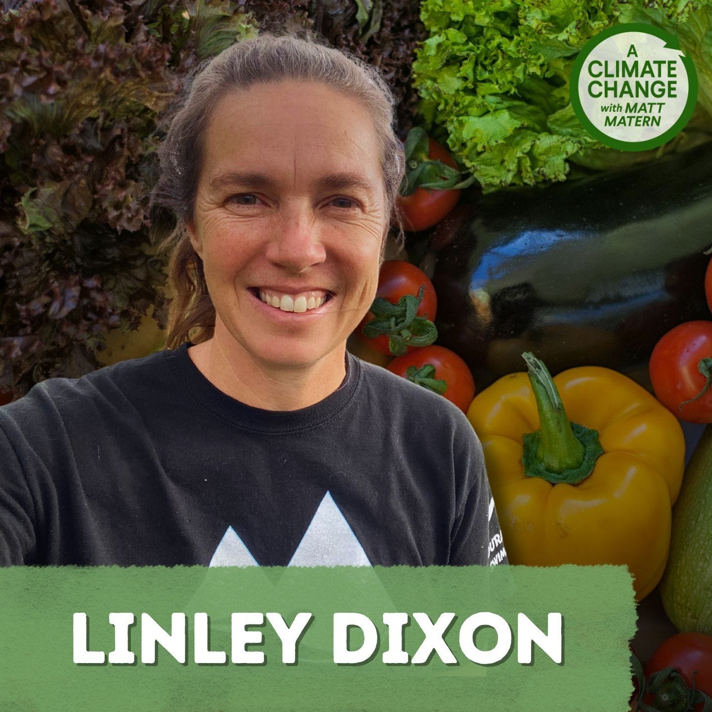 Linley Dixon