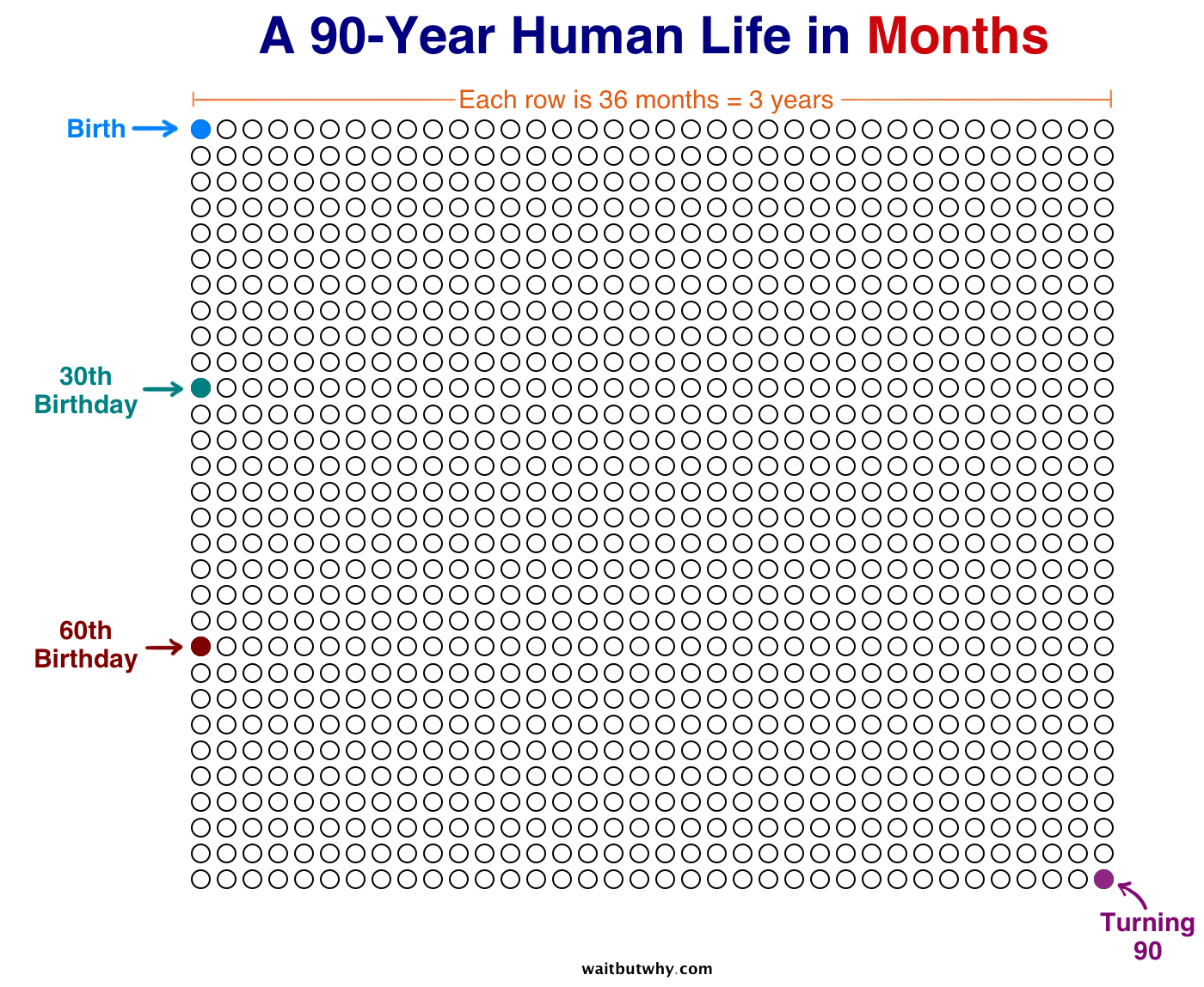 Your Life in Weeks — Wait But Why