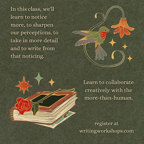 Three slides with information about the class Writing with Plants, Animals, and Ecosystems wiht Miranda Schmidt beginning at Writing Workshops July 6