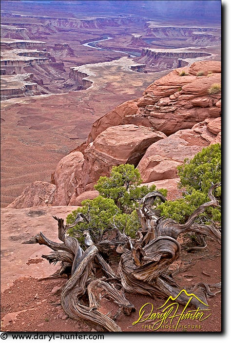 Photography by Daryl L. Hunter - The Hole Picture