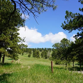 Finding a Path Instead of Forging the Road