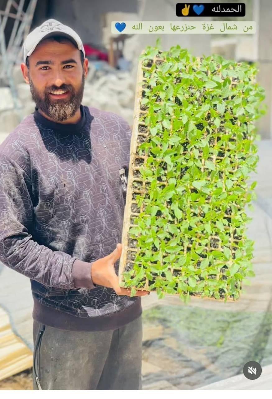 May be an image of 1 person, spring greens, seedlings and text