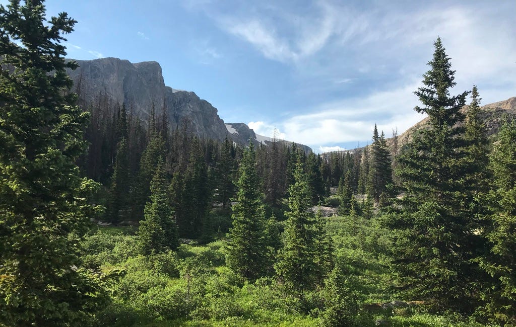 Update: Your Action for the Earth is Required