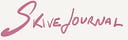 Skivejournal