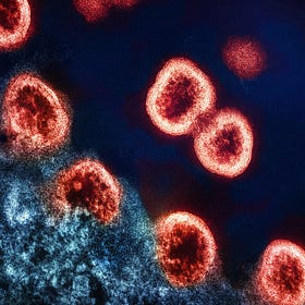 Inversions: The Immune System Is the Clearest Language You Have