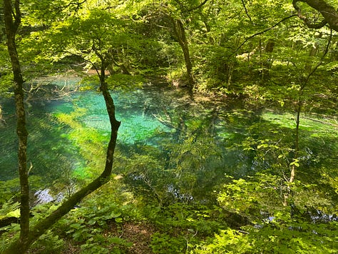 Greenery of Juniko and Wakitsubo Pond.