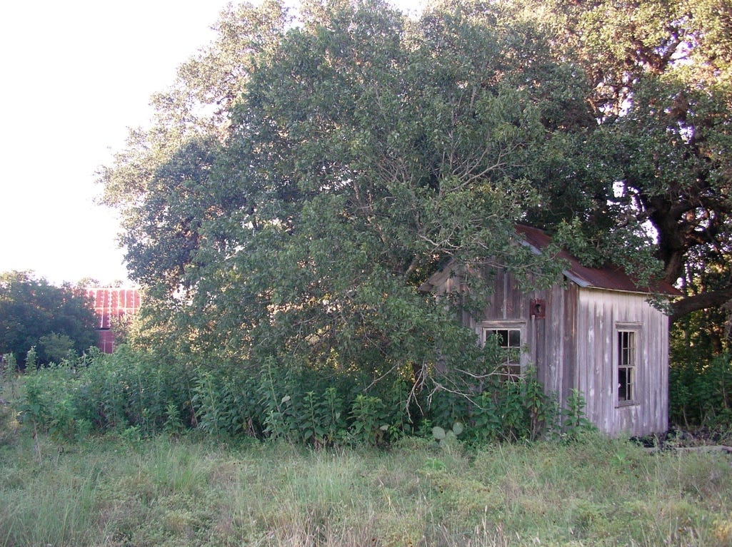 A small house surrounded by trees

AI-generated content may be incorrect.