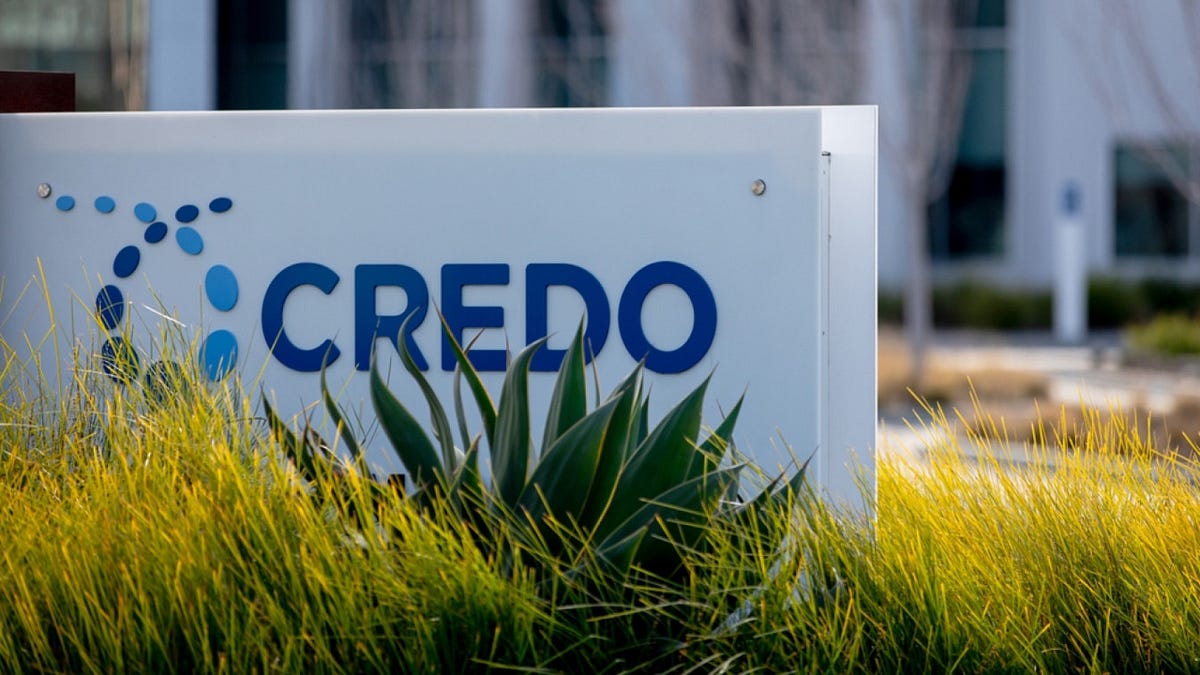 The Connectivity Fabric of the AI Era: The Case for Credo Technology Group