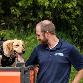 Scent-trained Labrador Retriever sniffs out invasive species before they spread