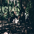 We need to believe them