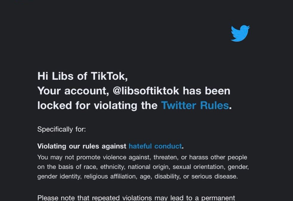 www.libsoftiktok.com