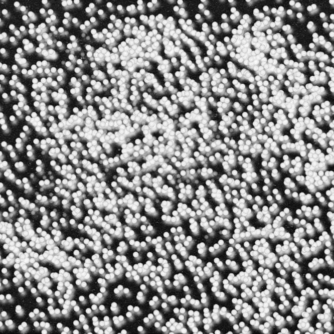 \ud835\udd43\ud835\udd60\ud835\udd60\ud835\udd64\ud835\udd56 \ud835\udd4b\ud835\udd59\ud835\udd63\ud835\udd56\ud835\udd52\ud835\udd55\ud835\udd64