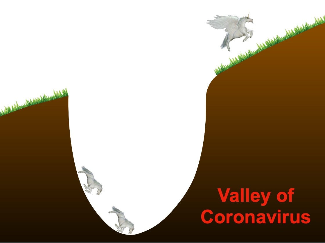 SoftBank Presentation Features Flying Unicorns, 'Valley of Coronavirus' -  Business Insider