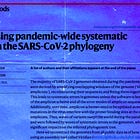 ‘Majority’ of COVID Genomes Had ‘Systematic Errors’ as Computers Turned Missing Sequence Data Into False Evidence of SARS-CoV-2 Evolution: Journal ‘Nature Methods’