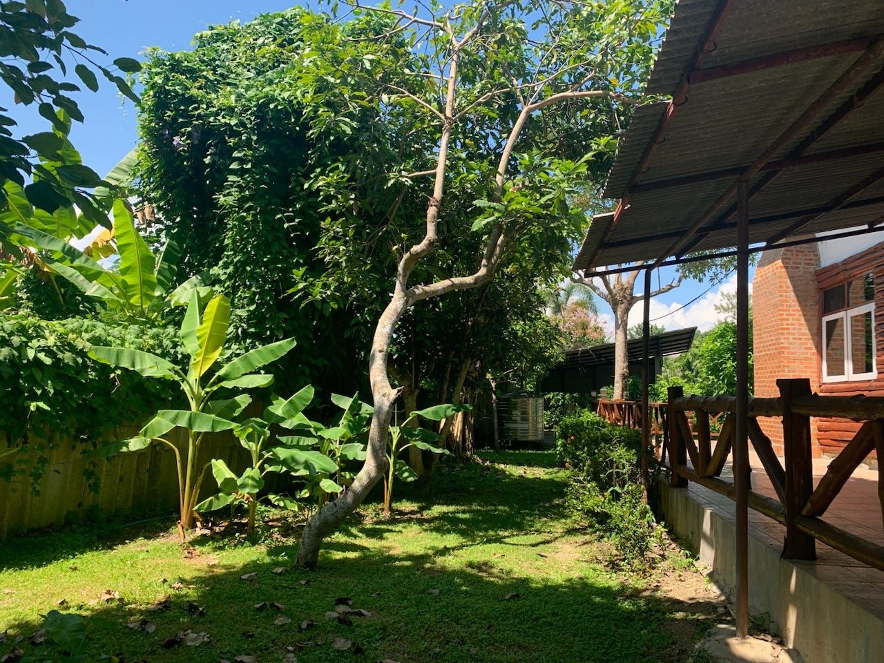 My wing of the house (bedroom upstairs, office downstairs)—though these pictures really don’t do it justice. There are more trees and lovely mountains in the background, but you can’t see them here.