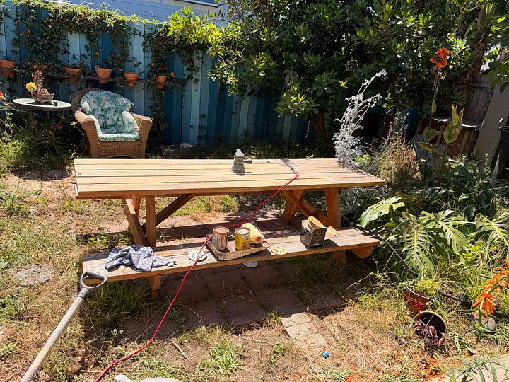 Four photos of an overgrown garden, featuring tropical plants, weeds galore, and an in progress picnic table sanding project.