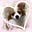 Masayo's avatar