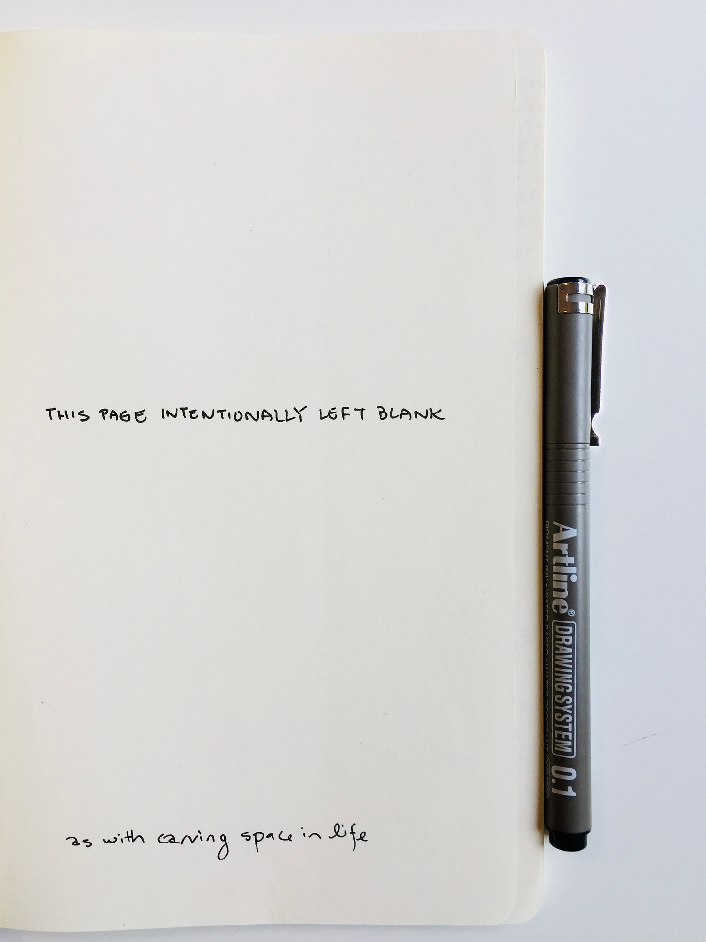 Photo of a page of a notebook with the handwritten words: This page intentionally left blank. As with carving space in life
