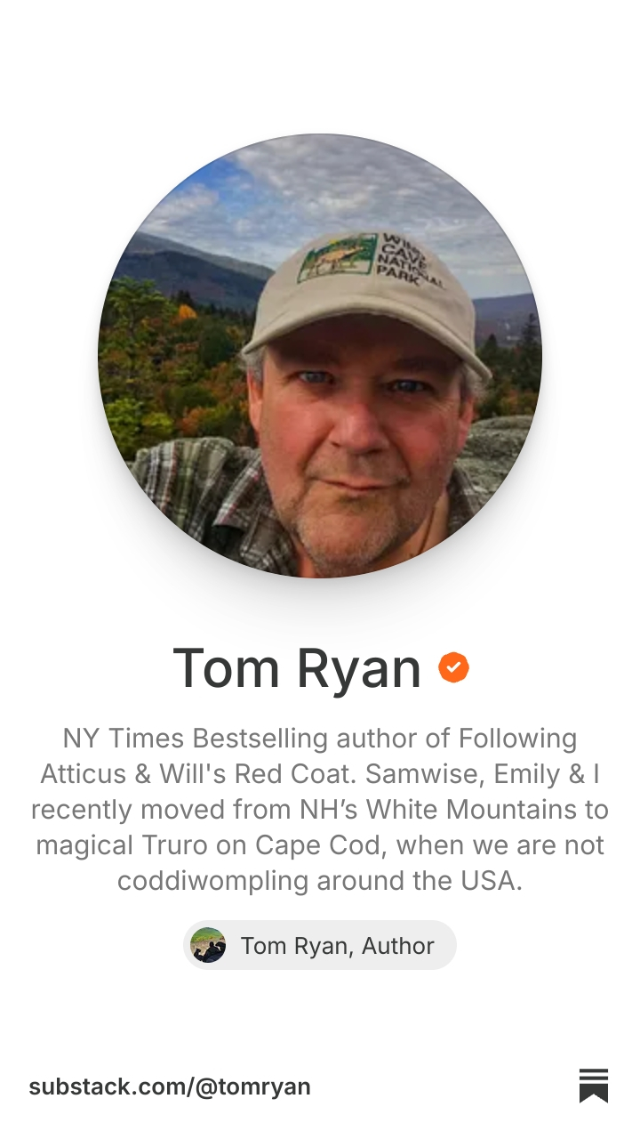 Tom Ryan | Substack