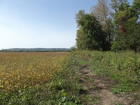 Oxbow Inc. Wetlands and Wildlife Refuge