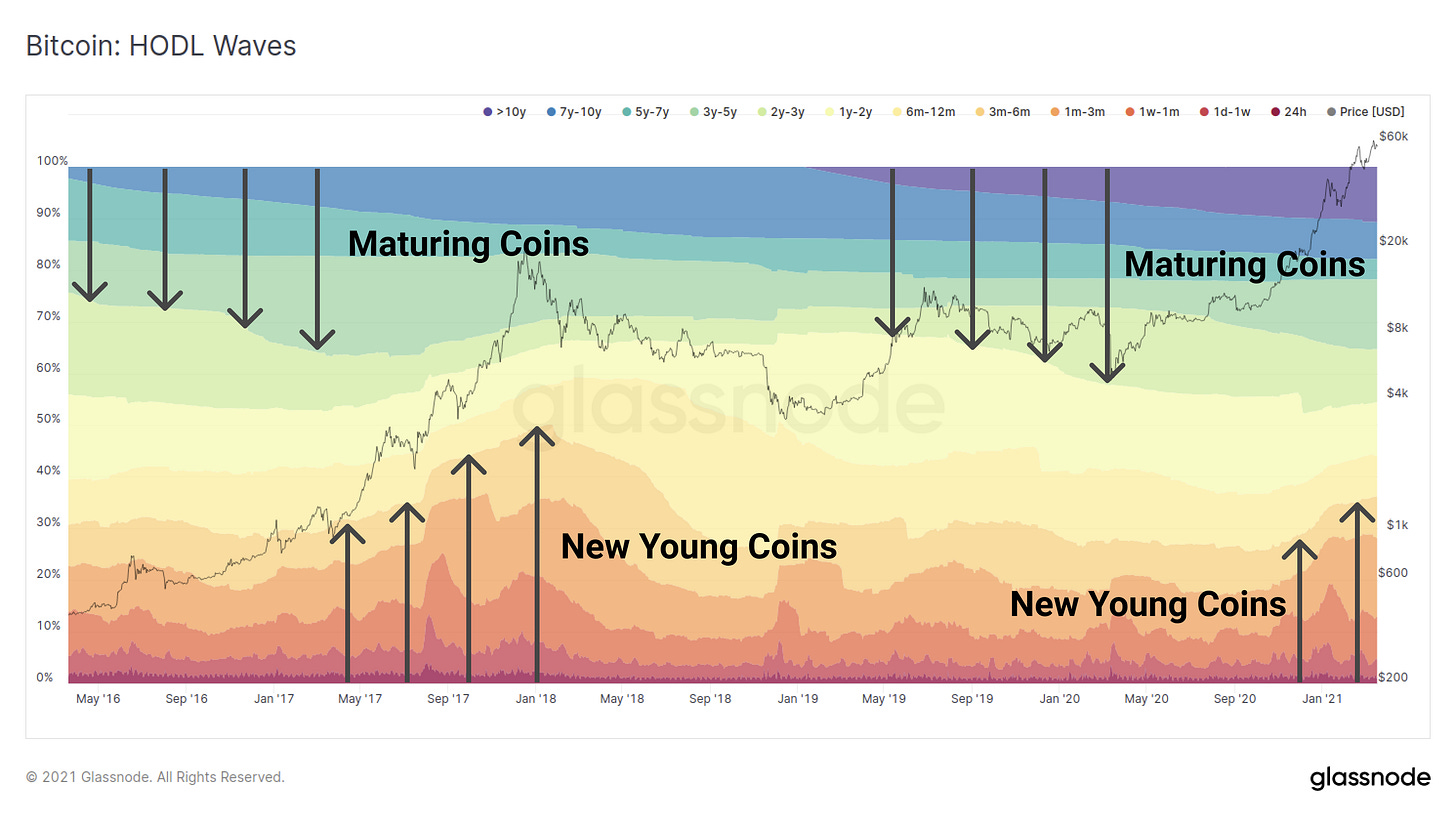 Bitcoin Hodl Wave