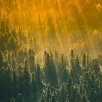 The Maritime Gardening Newsletter