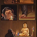 The Attention of Fools