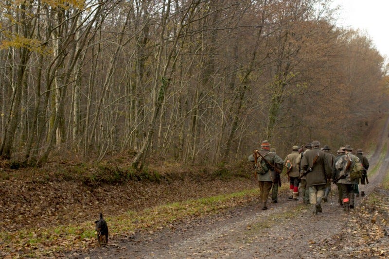 A group of trackers heading into the forest. A group of trackers heading into the forest.