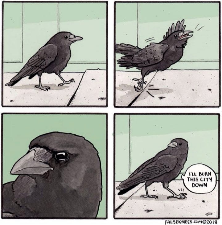 crow meme time (we all need this) #bubblecomics