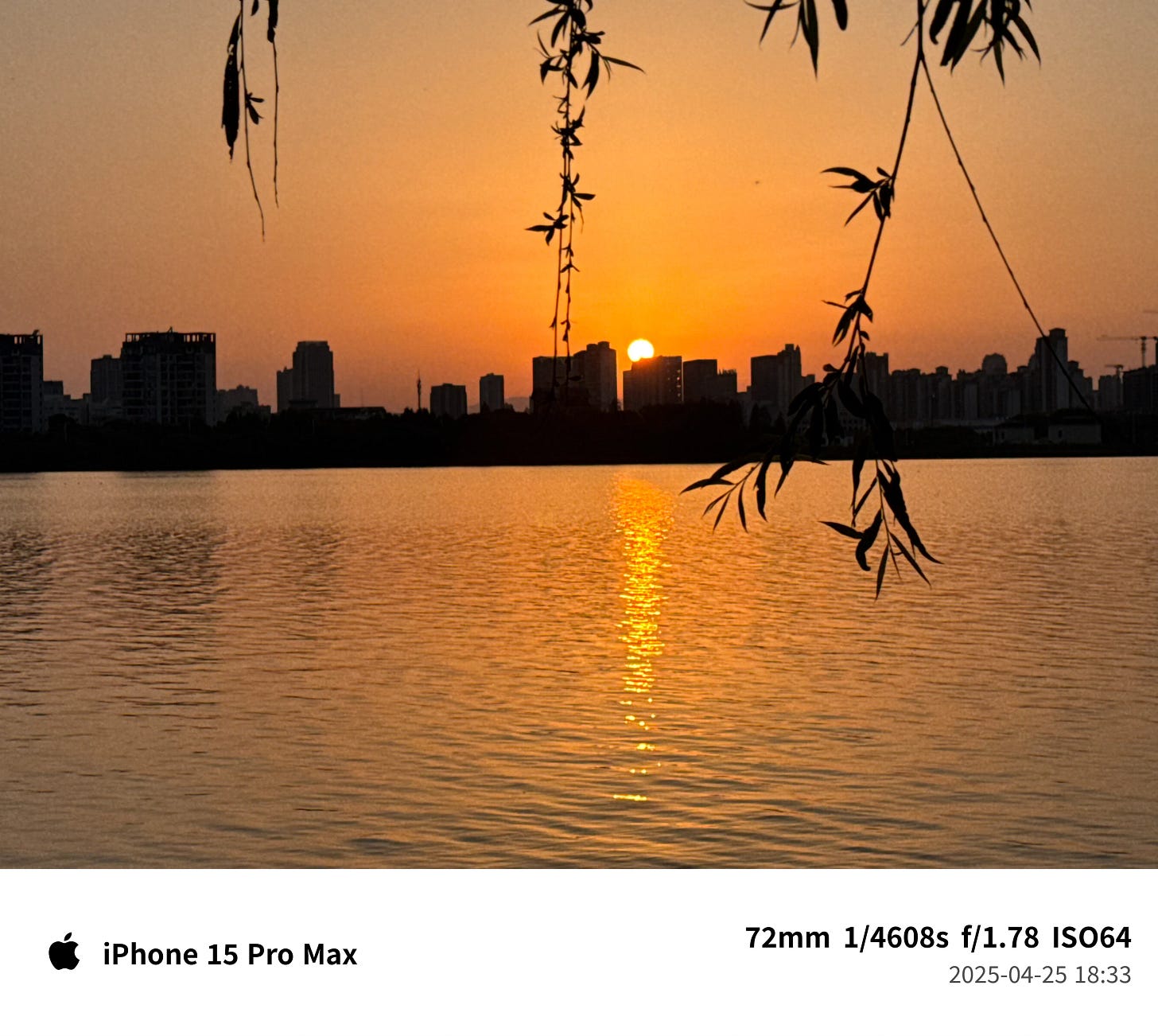 未曾踏足的小径 - 第5张图片