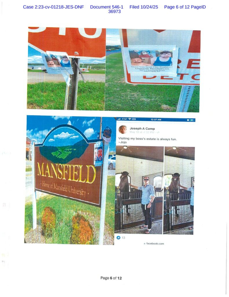 Danesh Dishonest Affidavit 6