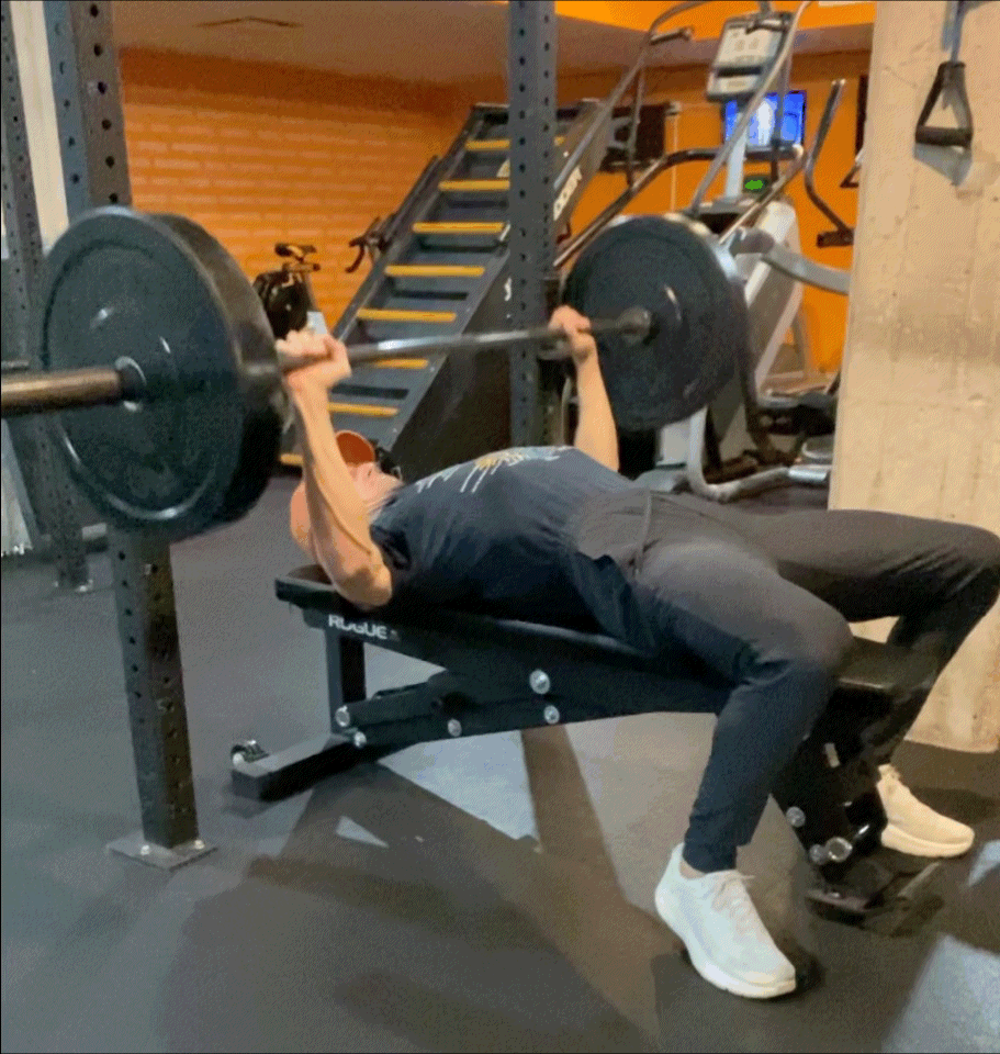 traditional-strength-training-bench traditional-strength-training-bench